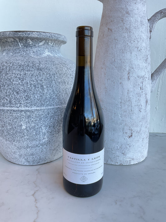 Mary Taylor (Pedro Gonzalez Mittelbrunn) Castilla Y Leon 2023