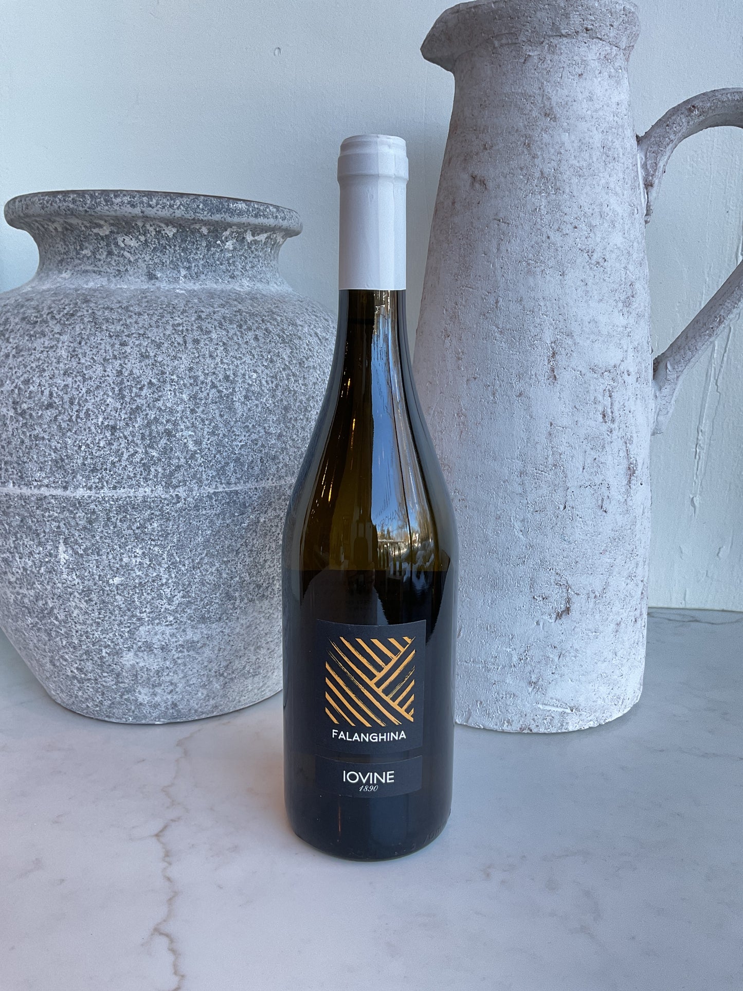 Iovine Falanghina 2024