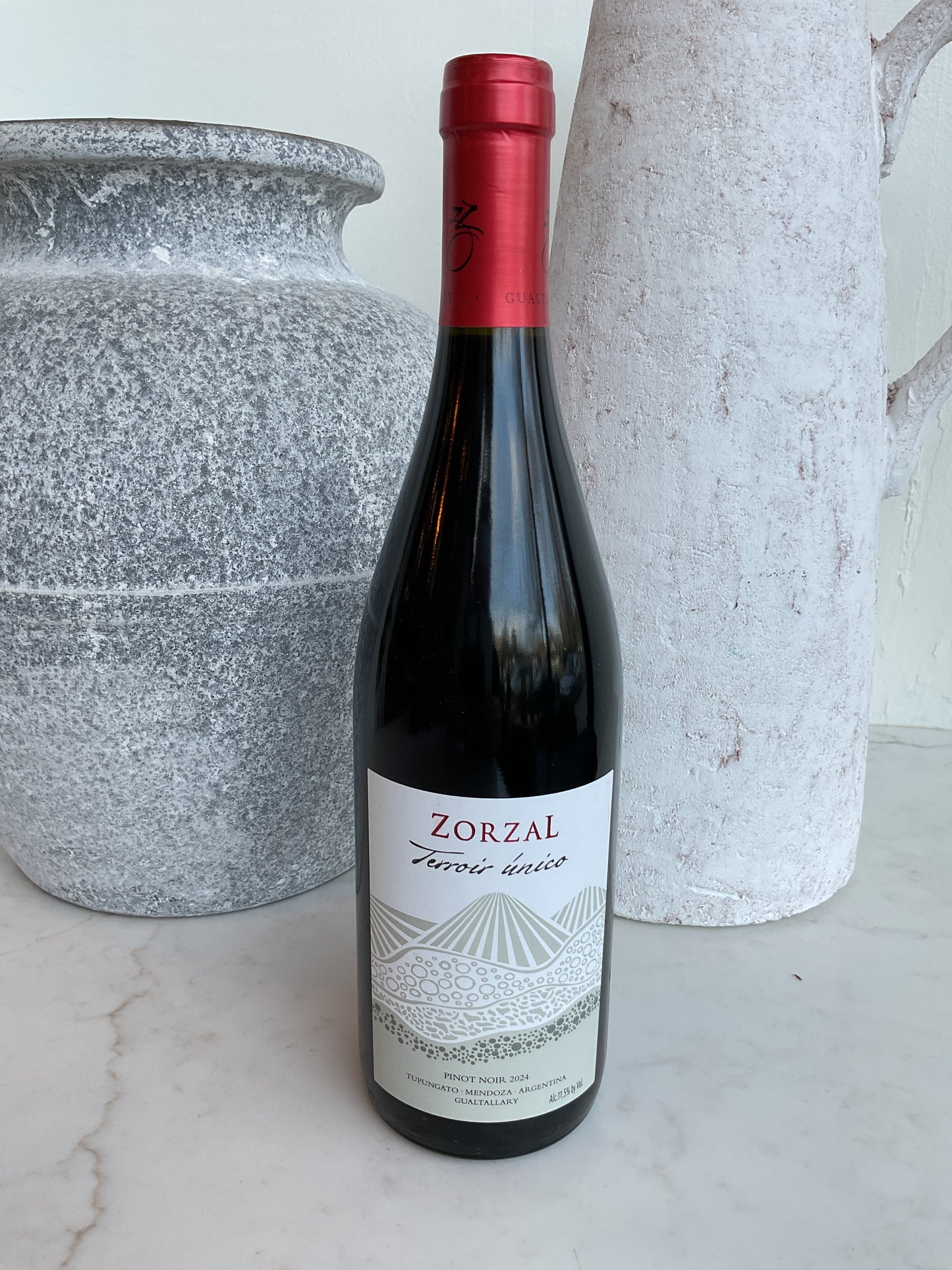 Zorzal Pinot Noir Terroir Unico 2025